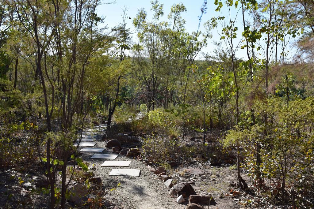 קתרין Cicada Lodge מראה חיצוני תמונה